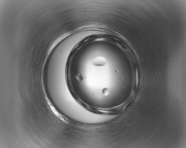 X0000086321042200703301212