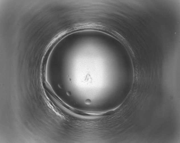 X0000086321043200703301212