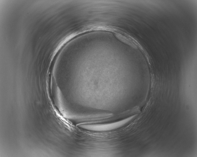 X0000086321048200703301212