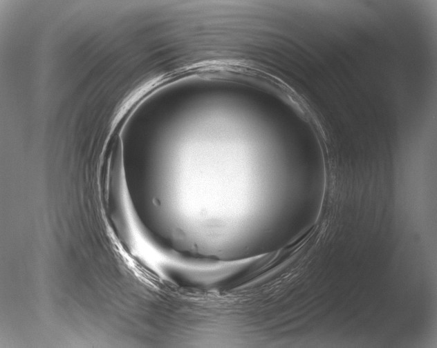 X0000086321050200703301212