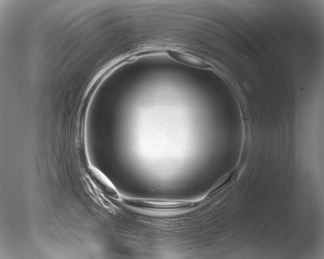X0000086321052200703301213
