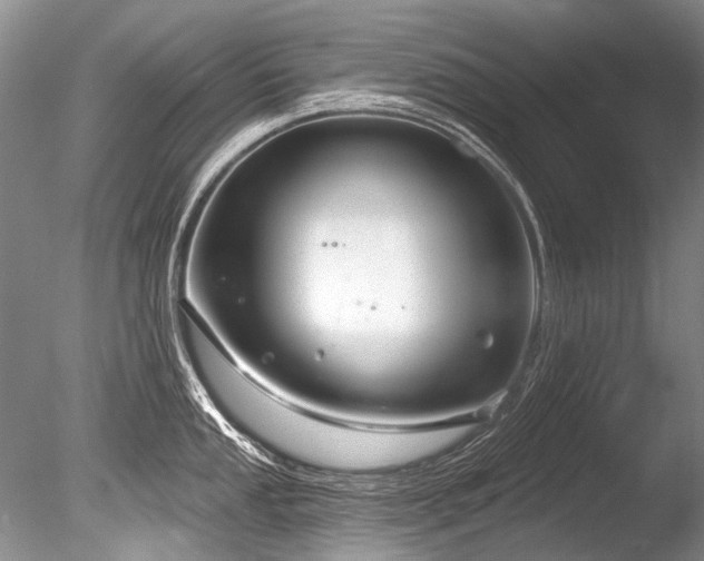 X0000086321053200703301213