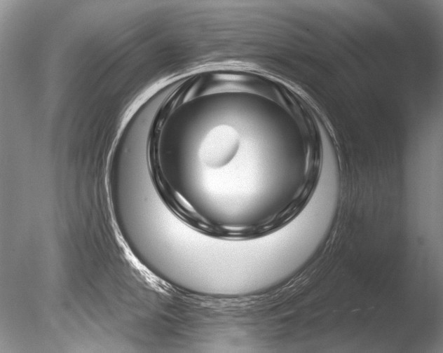 X0000086321054200703301213