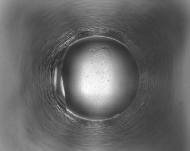 X0000086321058200703301212