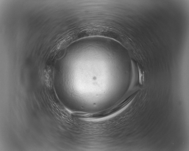 X0000086321059200703301212