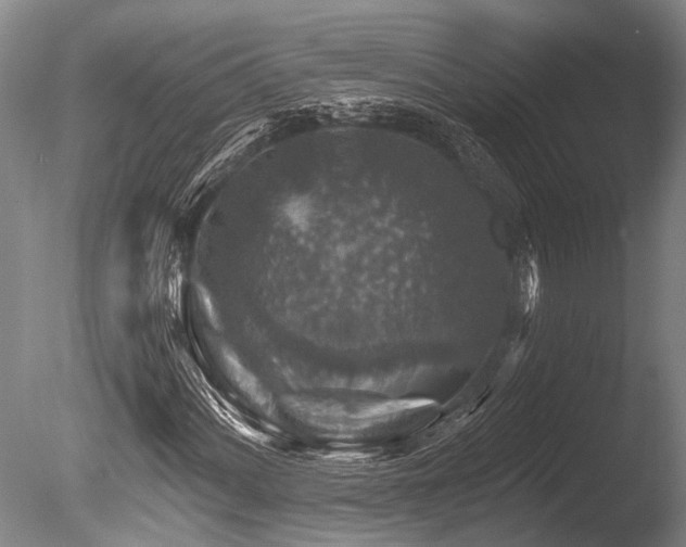 X0000086321060200703301212