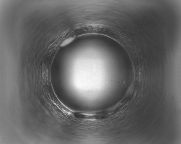 X0000086321061200703301212