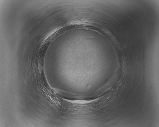 X0000086321064200703301212