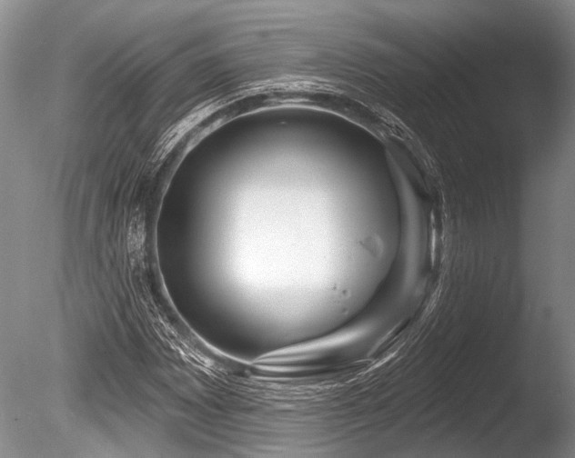 X0000086321065200703301212