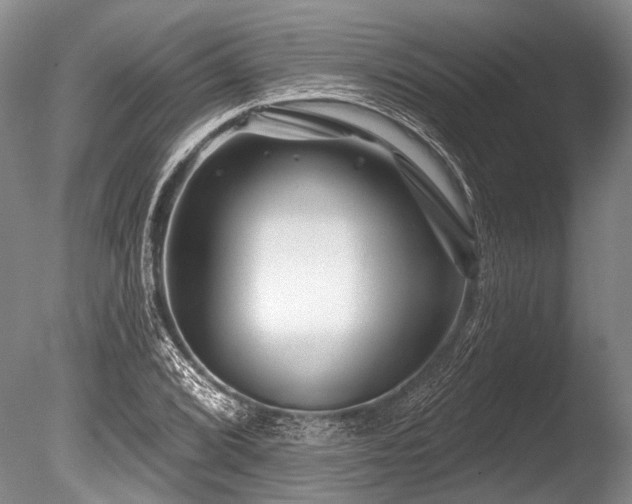 X0000086321072200703301211