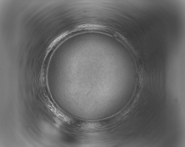 X0000086321074200703301211