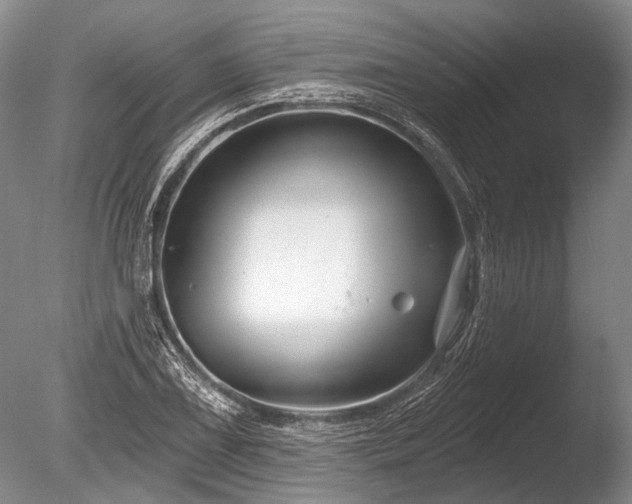 X0000086321075200703301211