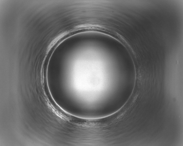 X0000086321082200703301211
