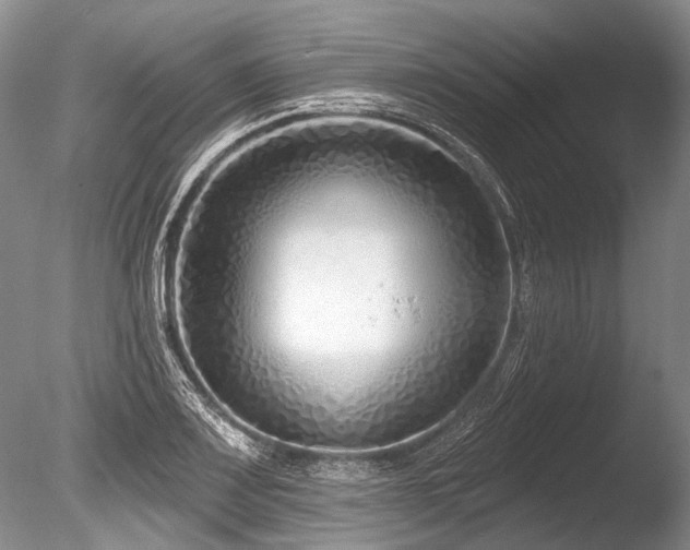 X0000086321083200703301211