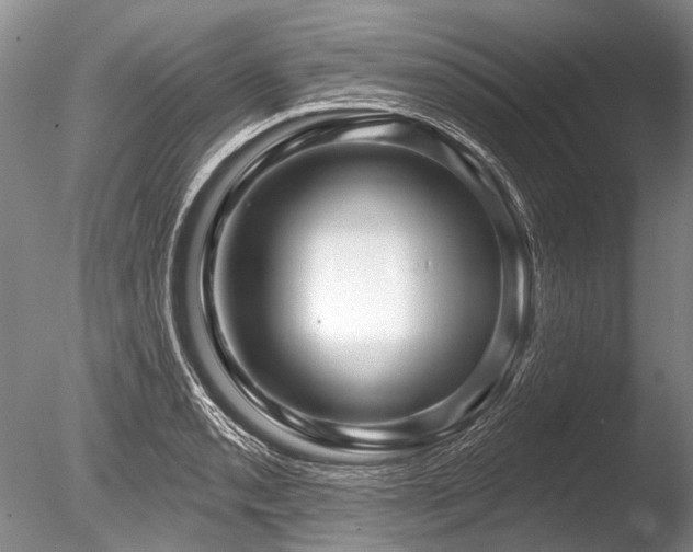 X0000086321085200703301211