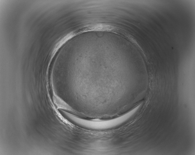 X0000086321087200703301211