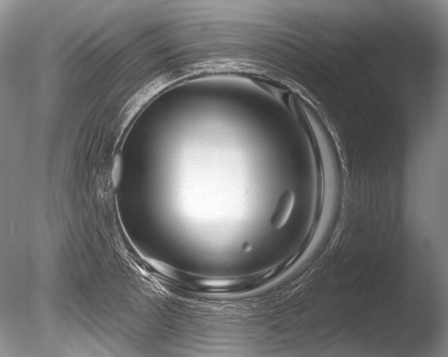 X0000086321089200703301211