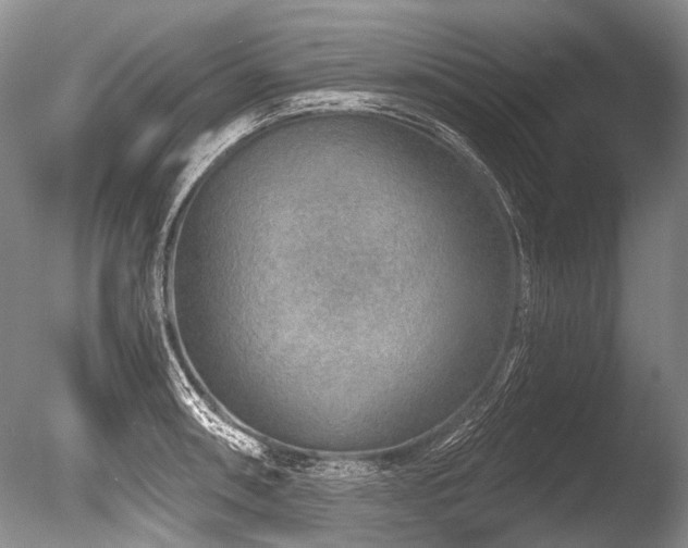 X0000086321090200703301211