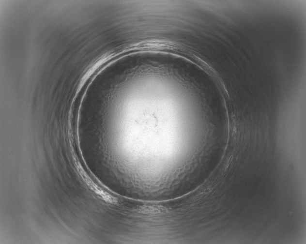 X0000086321091200703301211