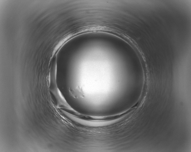 X0000086321097200703301211