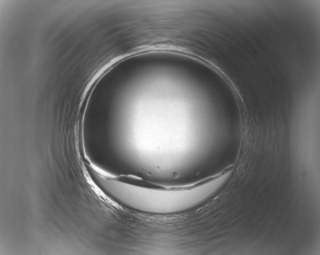 X0000086321100200703301211