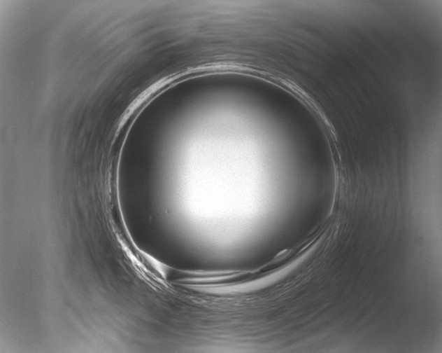 X0000086321101200703301211