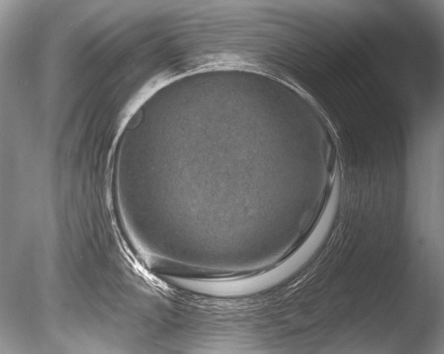 X0000086321102200703301211