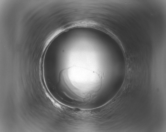 X0000086321103200703301211