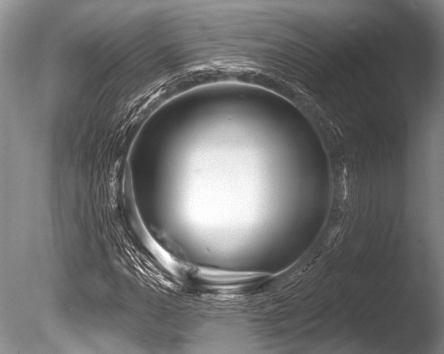 X0000086321110200703301210