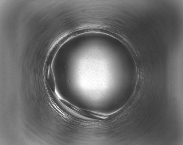 X0000086321119200703301210