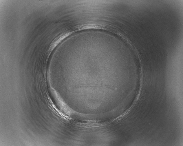 X0000086321121200703301210