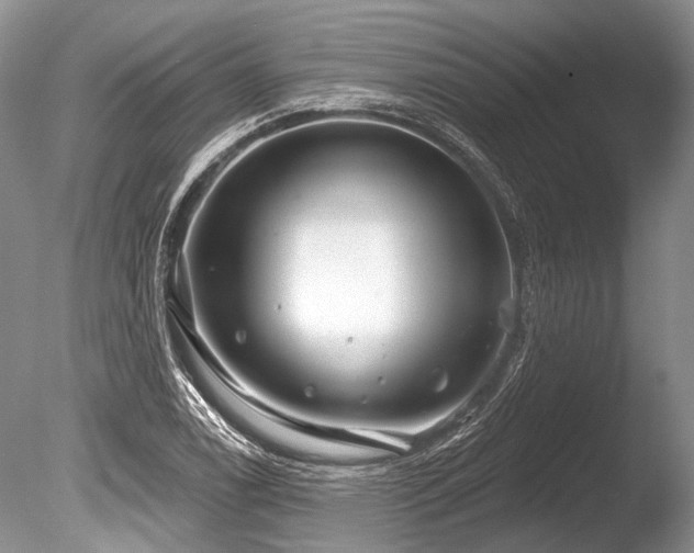 X0000086321122200703301210