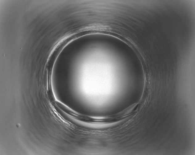 X0000086321123200703301210