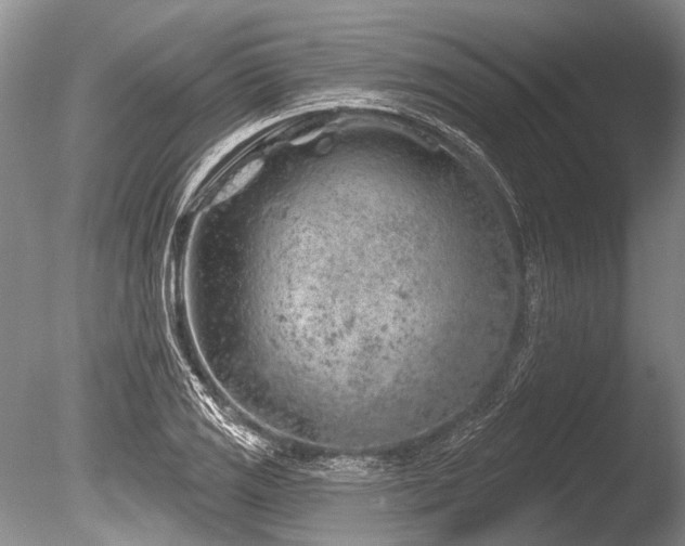 X0000086321125200703301210