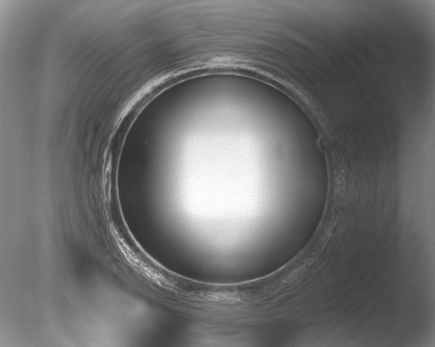X0000086321126200703301210