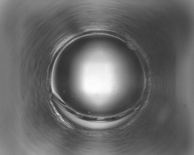 X0000086321129200703301211