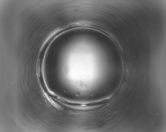 X0000086321131200703301211