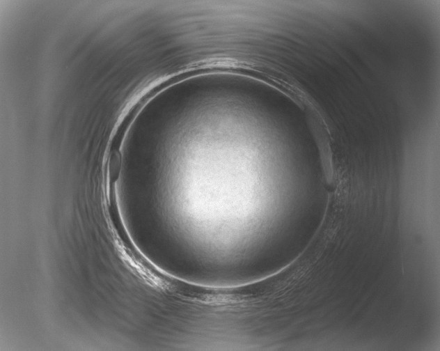 X0000086321132200703301211