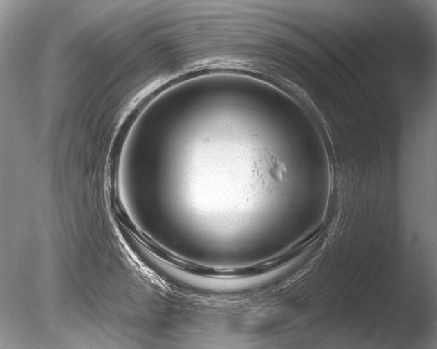 X0000086321133200703301211