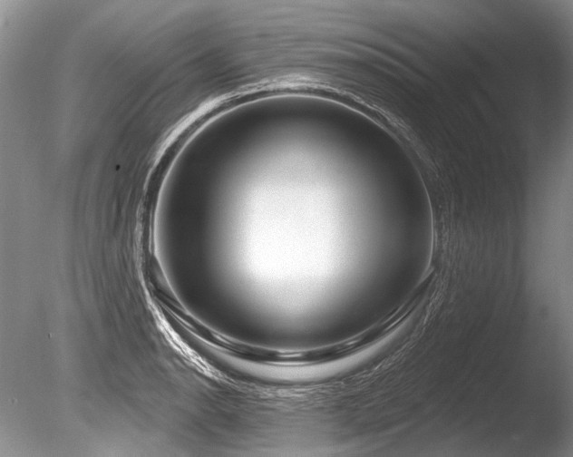 X0000086321134200703301211