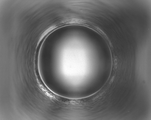 X0000086321138200703301211