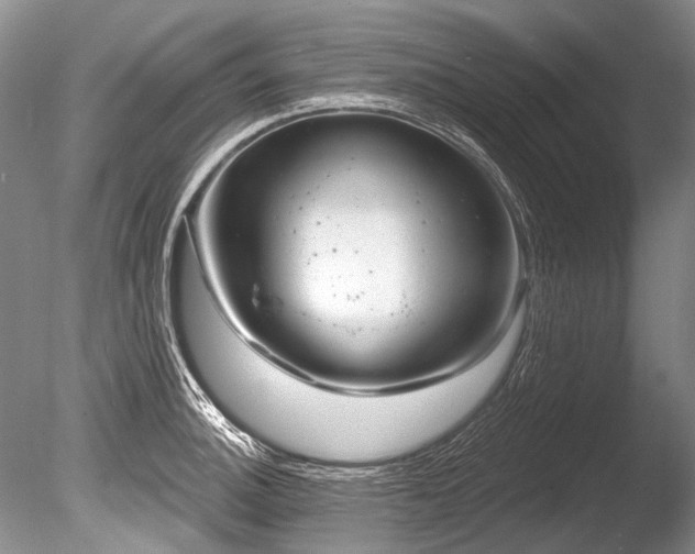 X0000086321140200703301211