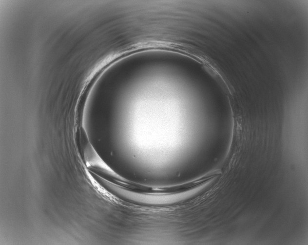 X0000086321143200703301211
