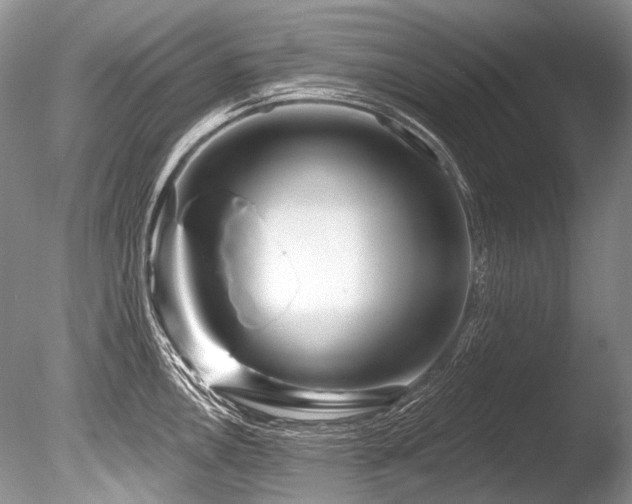 X0000086321146200703301211