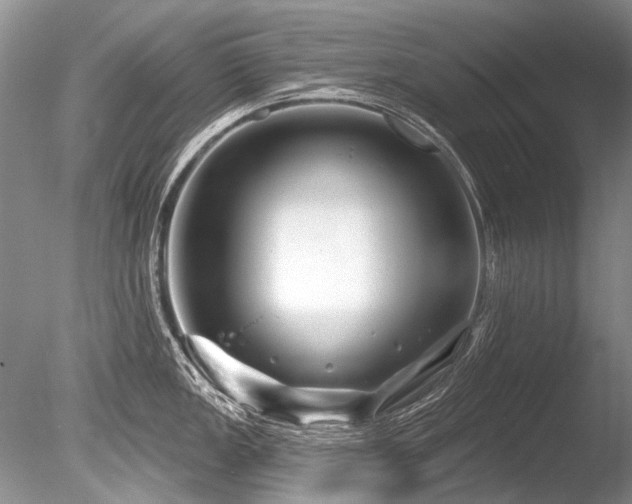 X0000086321149200703301211