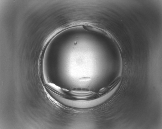 X0000086321151200703301211