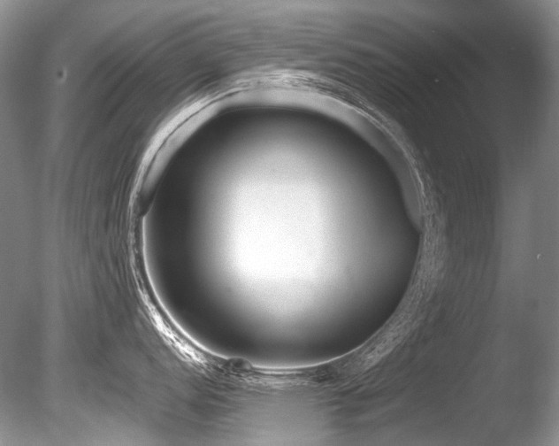 X0000086321152200703301211