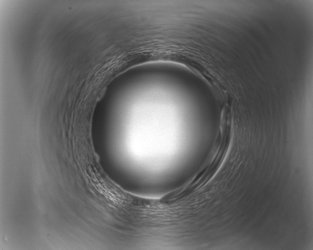 X0000086321153200703301210
