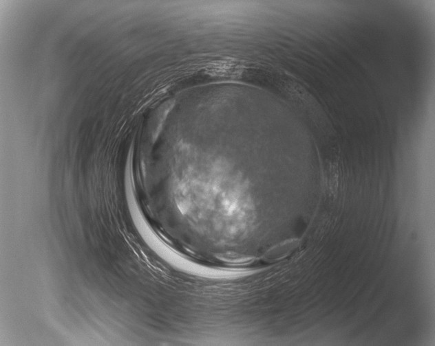 X0000086321154200703301210
