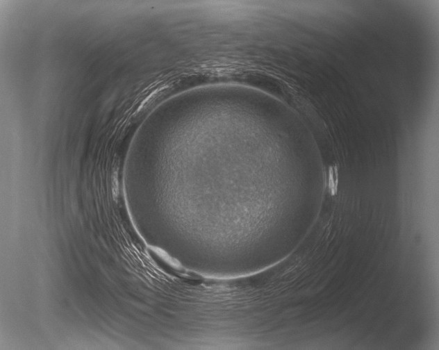 X0000086321155200703301210